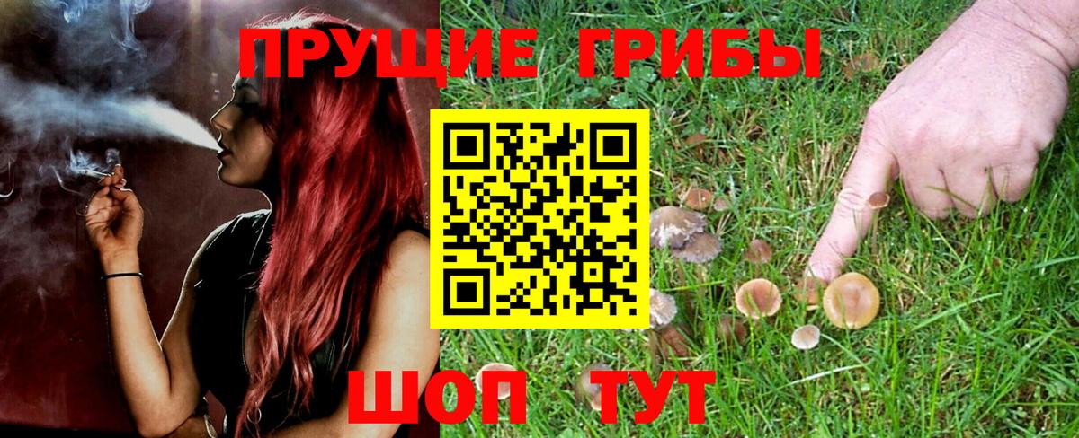 Галлюциногенные грибы Magic Shrooms  Вход с VPN  Усолье-Сибирское  Галлюциногенные грибы MAGIC MUSHROOMS 